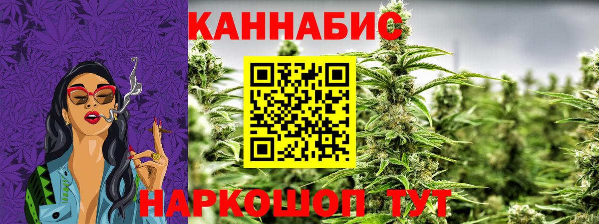 Канабис сатива Бор